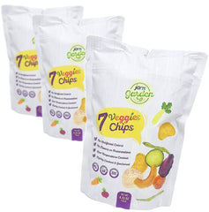 Jan's Garden Veggie Chips - High - Speed Mom